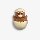 20gm